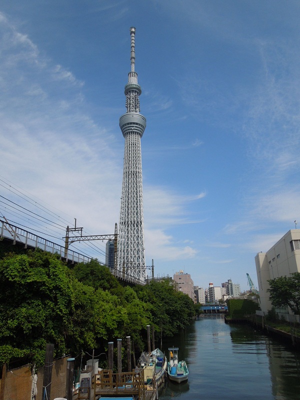 Skytree02